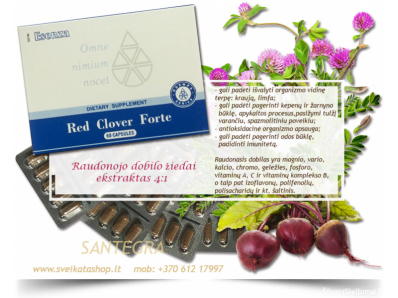  Red Clover Forte 60 kaps Santegra - PIGIAU