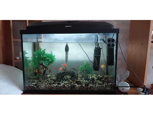  Akvariumas 70 ltr