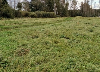 Žemės sklypas Šilutėje – puikus pasirinkimas jūsų namams!