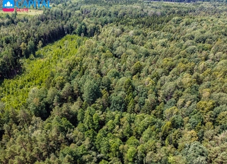 Ideali vieta miškų ūkio veiklai ir poilsiui